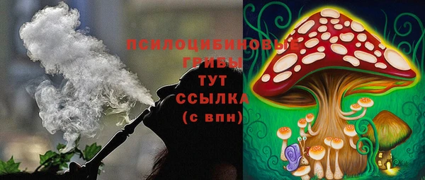 гашик Алексеевка